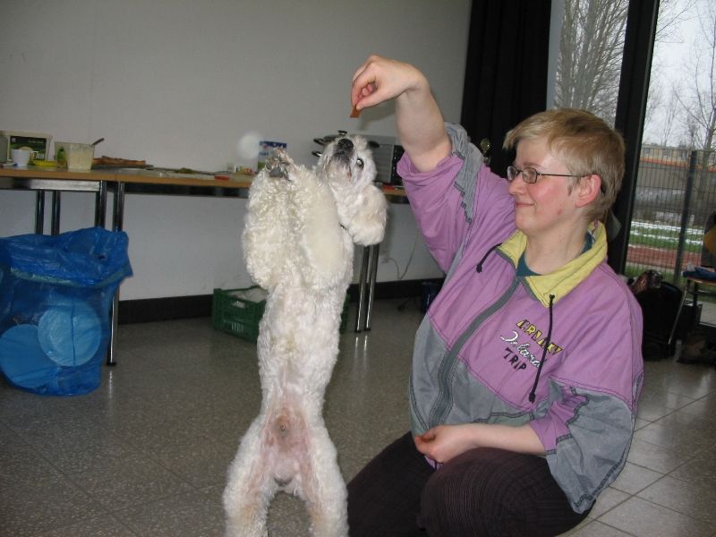 ../Images/Neujahrsturnier Berlin 07.01.2006 018.jpg